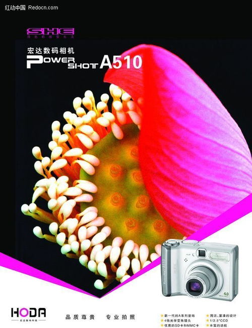 数字之眼 数码相机背后的技术服务革命