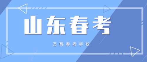 参加春季高考学信息技术专业 数字技术服务的就业前景与方向
